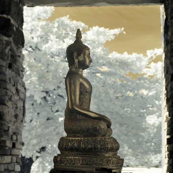 Boeddha op glas 100x100