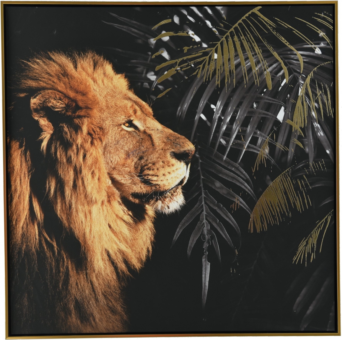 Schilderij leeuw 82x82