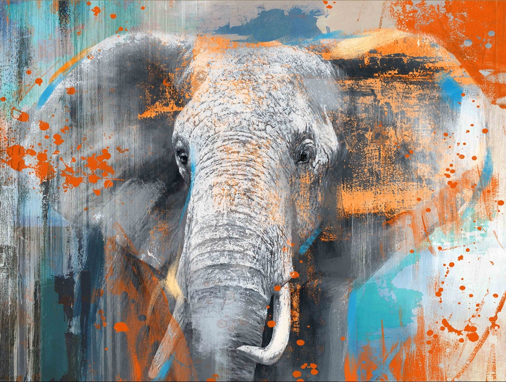 Schilderij pop art olifant  70x100