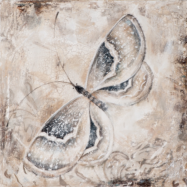 Schilderij vlinder 50x50