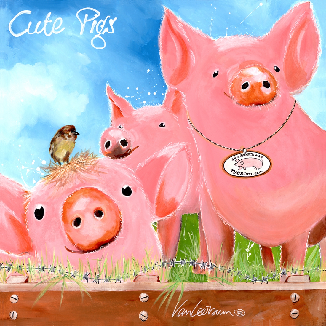 Cute pigs 70x70