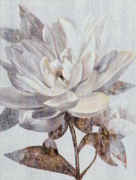 Witte bloem met fijne, zachte bloemblaadjes en gouden accenten, tegen een subtiele, lichtgrijze achtergrond.