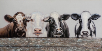 Schilderij koeien 70x140