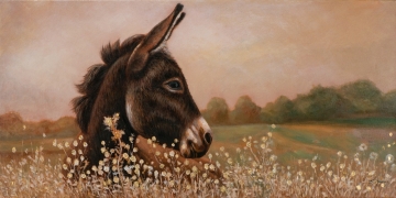 Een bruine ezel staat in een veld vol gele bloemen, met een zachte, natuurlijke achtergrond in warme tinten.