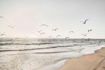 Strand op glas 80x120