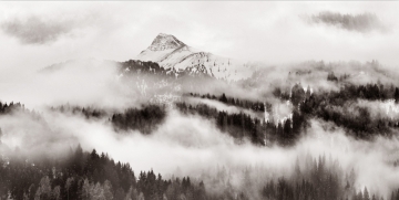 Witte bergtop steekt boven een mistige boslandschap uit, met diepe schaduwen en zachte grijstinten in de lucht.