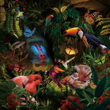 Jungle Paradise op glas 100x100