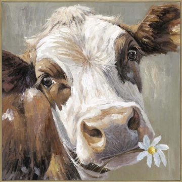 Een bruin-witte koe kijkt recht in de camera met een bloempje in de mond, tegen een zachte, neutrale achtergrond.
