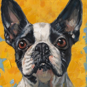 Schilderij bull dog 70x70
