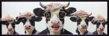 Schilderij koeien met fluffy haar 40x120