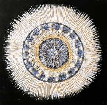 Schilderij mandala 74x74
