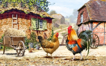 Kippen op de boerderij  75x100