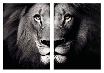 Tijger set glas 2x 70x100