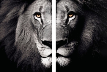 Tijger set glas 2x 70x100