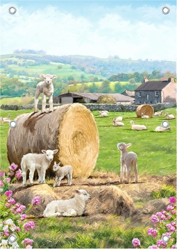 Tuinposter spelende lammetjes 70x100