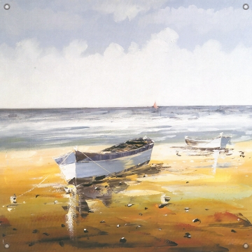 Tuinposter boot aan strand 80x80