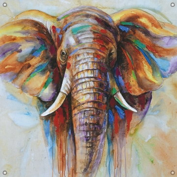 Tuinposter olifant 80x80