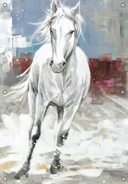 Tuinposter paard 70x100