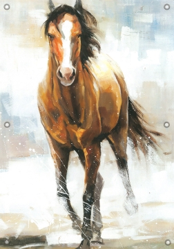 Tuinposter paard 70x100