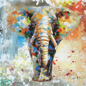 Tuinposter olifant 80x80
