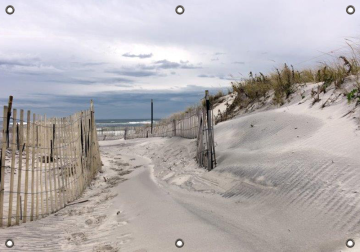Tuinposter strand en duinen 70x100