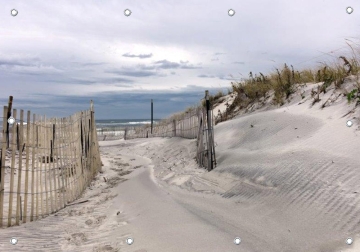Tuinposter strand en duinen 110x155 GROOT