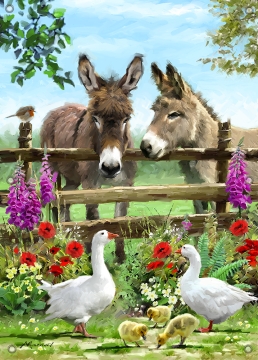Tuinposter ezeltjes 70x100
