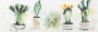 schilderij cactussen 50x150 thumbnail