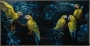Schilderij papegaaien met lijst 72x142 thumbnail