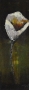 Schilderij bloemen 30x90 thumbnail