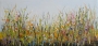 Schilderij bloemenveld 50x100 thumbnail