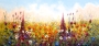 Schilderij bloemenveld 70x140 thumbnail