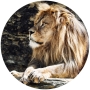 Lion op glas rond 70cm thumbnail