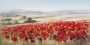 Schilderij bloemenveld 70x140 thumbnail