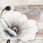 schilderij bloem 75x75 thumbnail