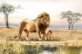 Leeuw met welp 75x100 thumbnail