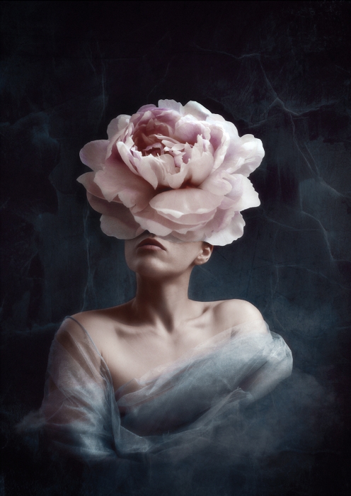 Vrouw met een grote, delicate roze bloem als hoofd, omhuld door een doorzichtige stof in een donkere, mistige achtergrond.