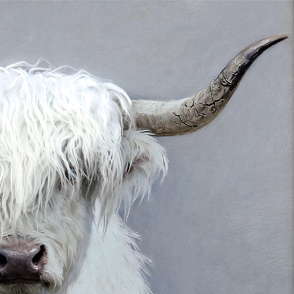 Schilderij hooglander met fluffy haar 60x80