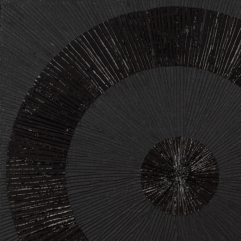 Zwart abstract kunstwerk met concentrische cirkels, variërend in textuur en glans, tegen een uniforme zwarte achtergrond.