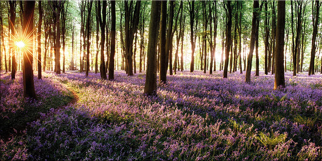 Natuur tuinschilderij