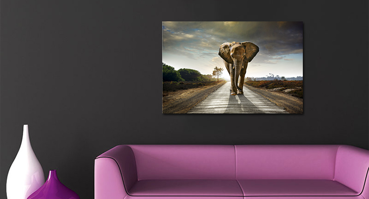 Foto kunst schilderij olifant
